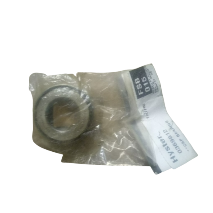 NEW CAP BEARING 036-9812
