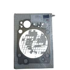 NEW GASKET CYLINDER HEAD 5410160920