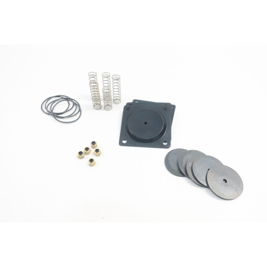 A-1013-95 Diaphragm Repair Kit