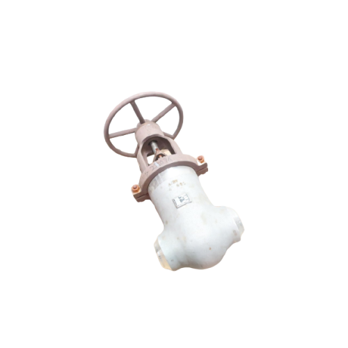 Anchor Darling Wedge Gate Valve Manual 900 Stainless Butt Weld 4in