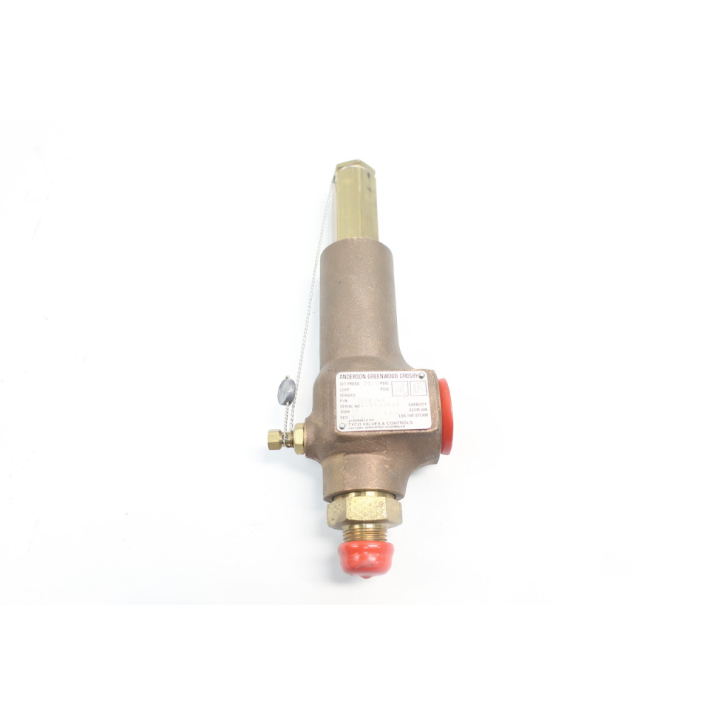 Anderson Greenwood 81BM48-4 Bronze Threaded Relief Valve 2450psi 1/2in Npt