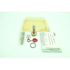 Asco 096875 Valve Rebuild Kit