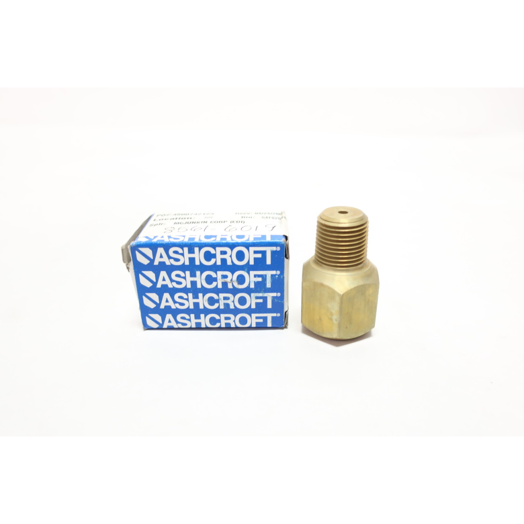 Ashcroft 1106B Pulsation Dampener 1/2in
