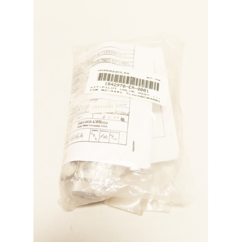 Babcock Wilcox 258116A1 Pilot Replacement Kit