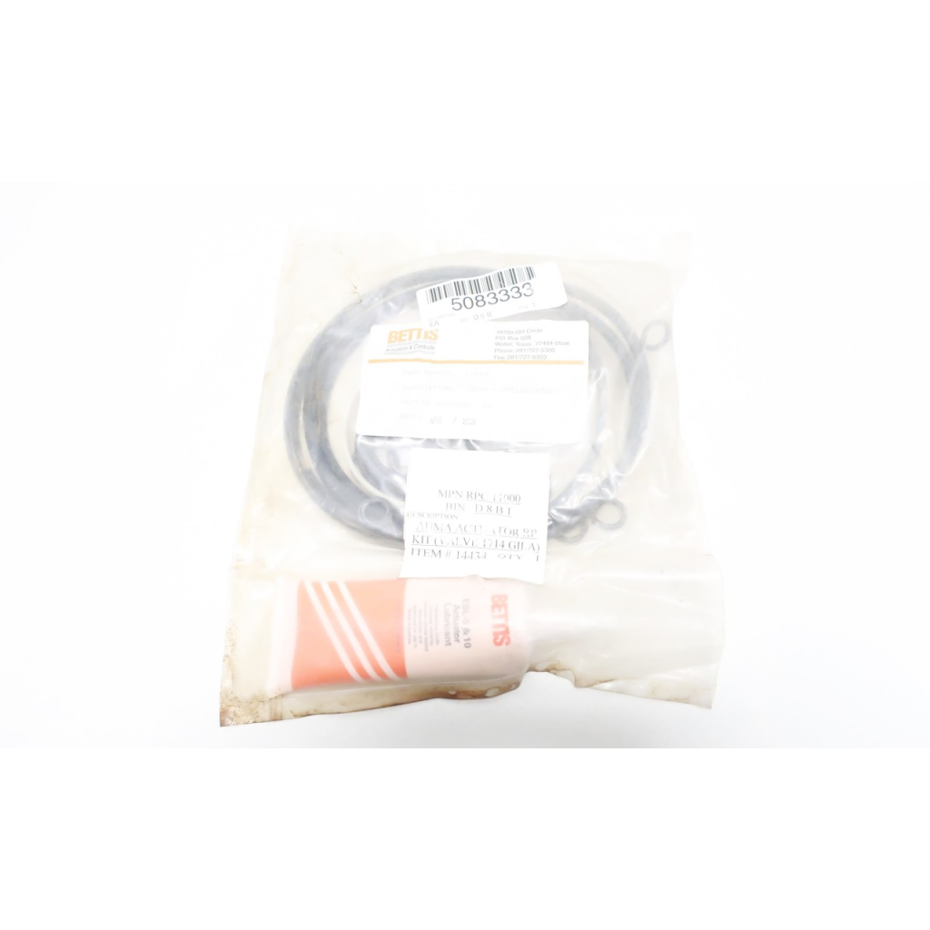 Bettis 120141 Actuator Repair Kit Rpc11000/rp/sr