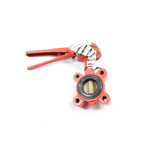 Bray T381 Manual Iron Bronze Wafer Butterfly Valve 2in