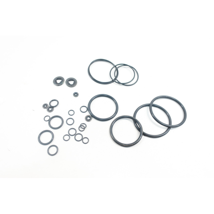 Buckeye AH-1503 Seal Kit