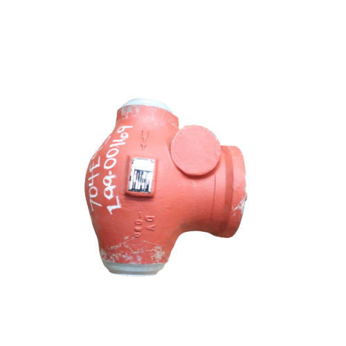 Bw/ip International Steel Butt Weld Check Valve 4in 900