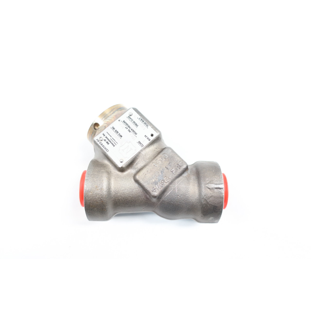 Bwip Socket Weld Check Valve 3/4in
