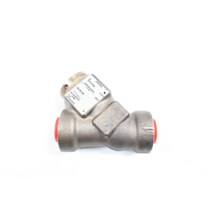 Bwip Socket Weld Check Valve 3/4in