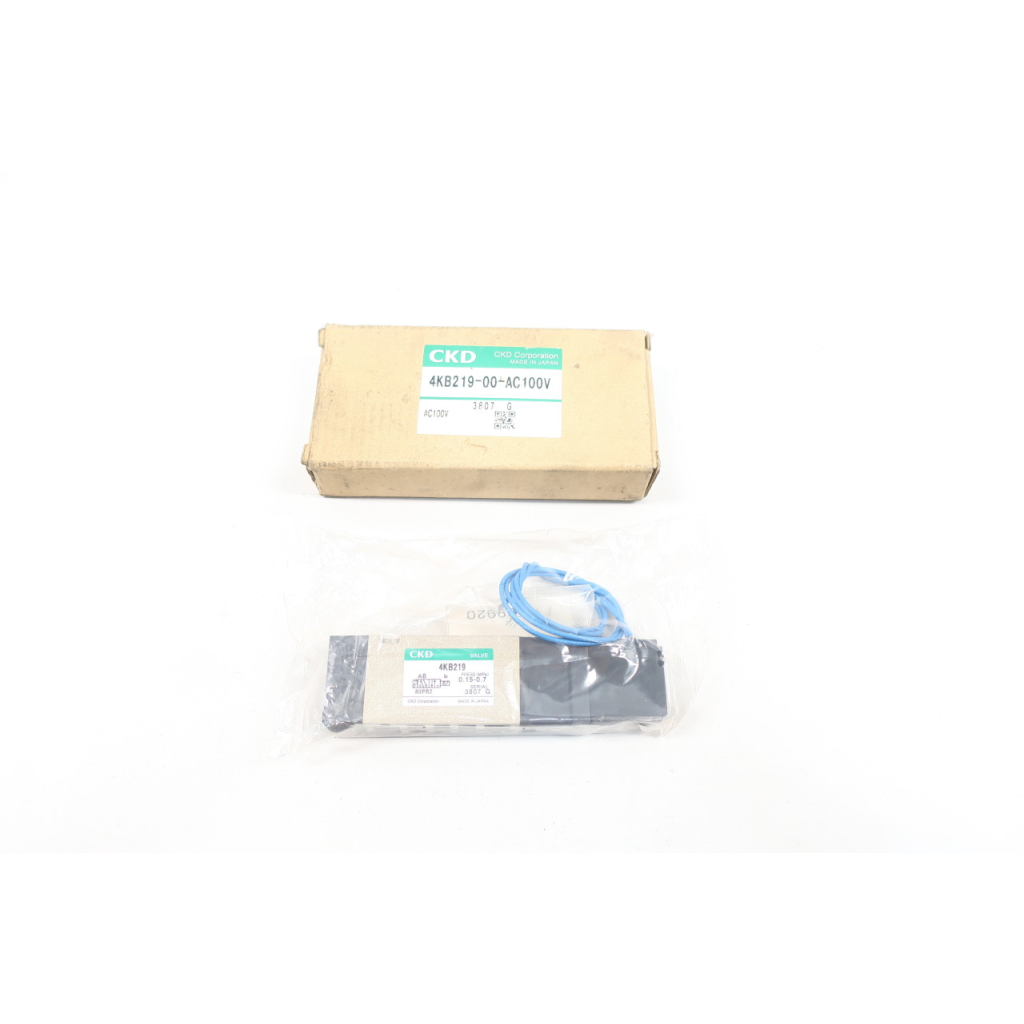 CKD 4KB219-00-AC100V