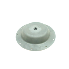 Century Valve Diaphragm