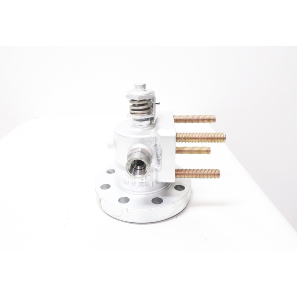 Clyde Bergemann BE-1151A-WC6-2-BSPP Poppet Valve Steel Flanged