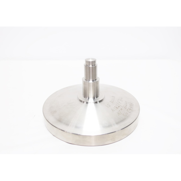 Crane CA01565-494Q N-2376-sp Valve Stainless Disc 10in Cl300