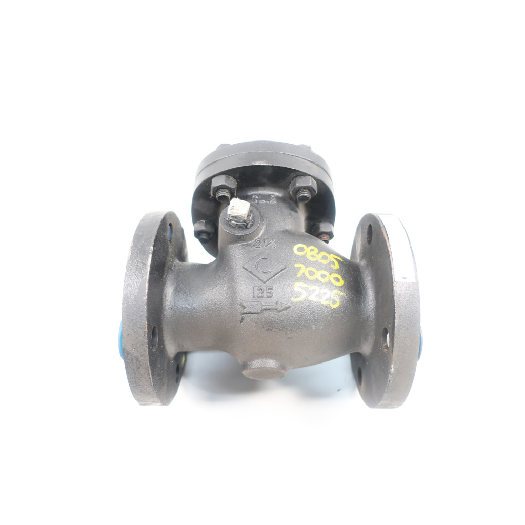 Crane 373 Iron Flanged Check Valve 125 2-1/2in
