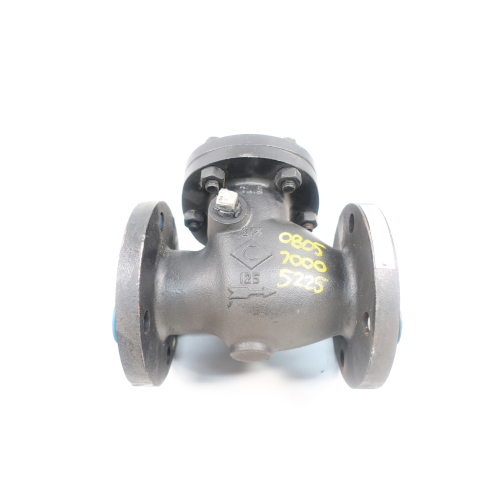 Crane 373 Iron Flanged Check Valve 125 2-1/2in