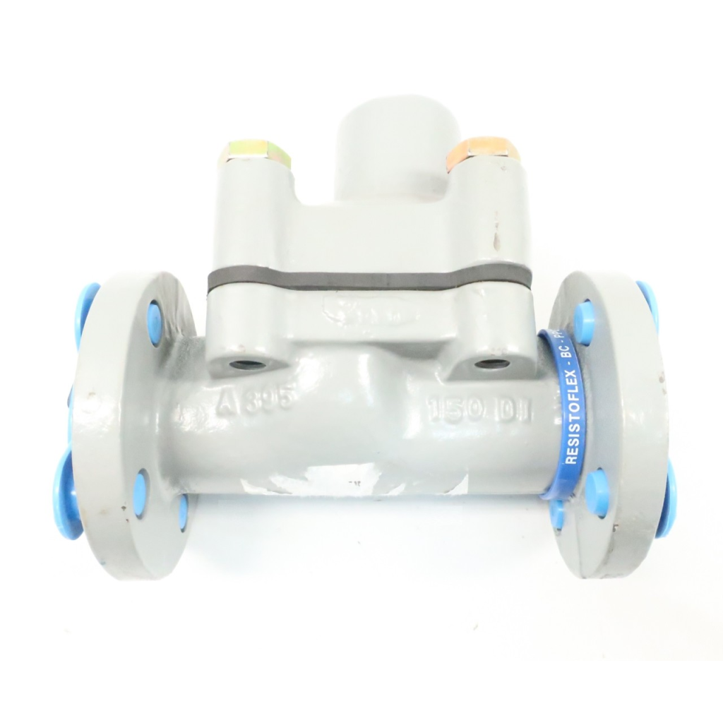 Crane V700P1VV0N10V Resistoflex 150 Steel Flanged 1in Check Valve