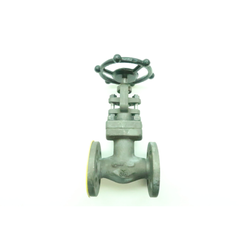 Crane 3151XU Manual Steel Flanged Globe Valve 1/2in 150