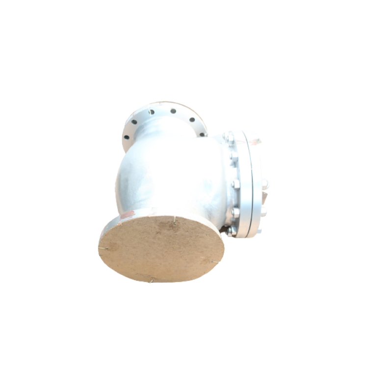 Crane 147XU Steel Flanged Check Valve 10in 150