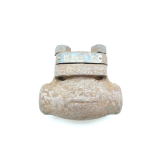 Crane 3682X Steel Socket Weld Check Valve 1in 600