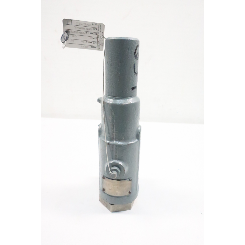 Crosby JMBU-A 55gpm Iron 100psi 1x1-1/2in Relief Valve