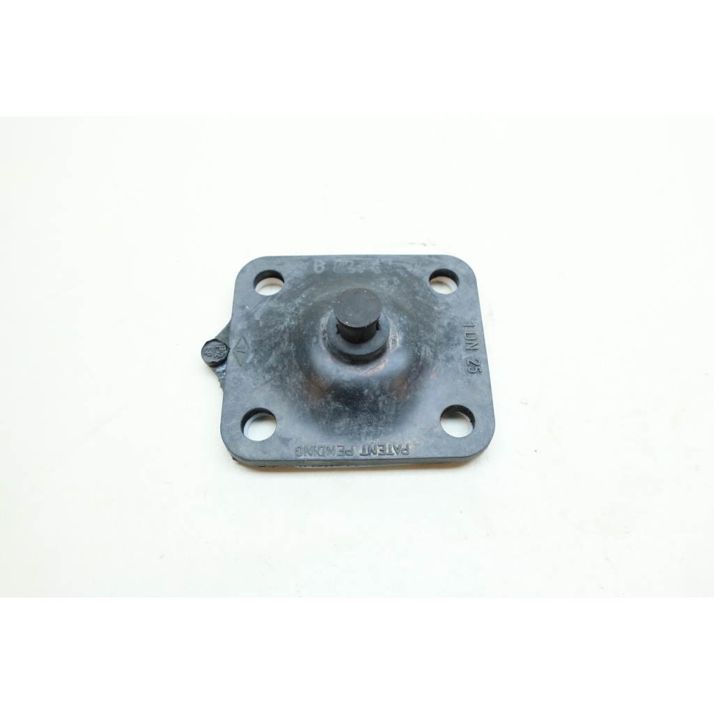DN 25 Valve Diaphragm 1in