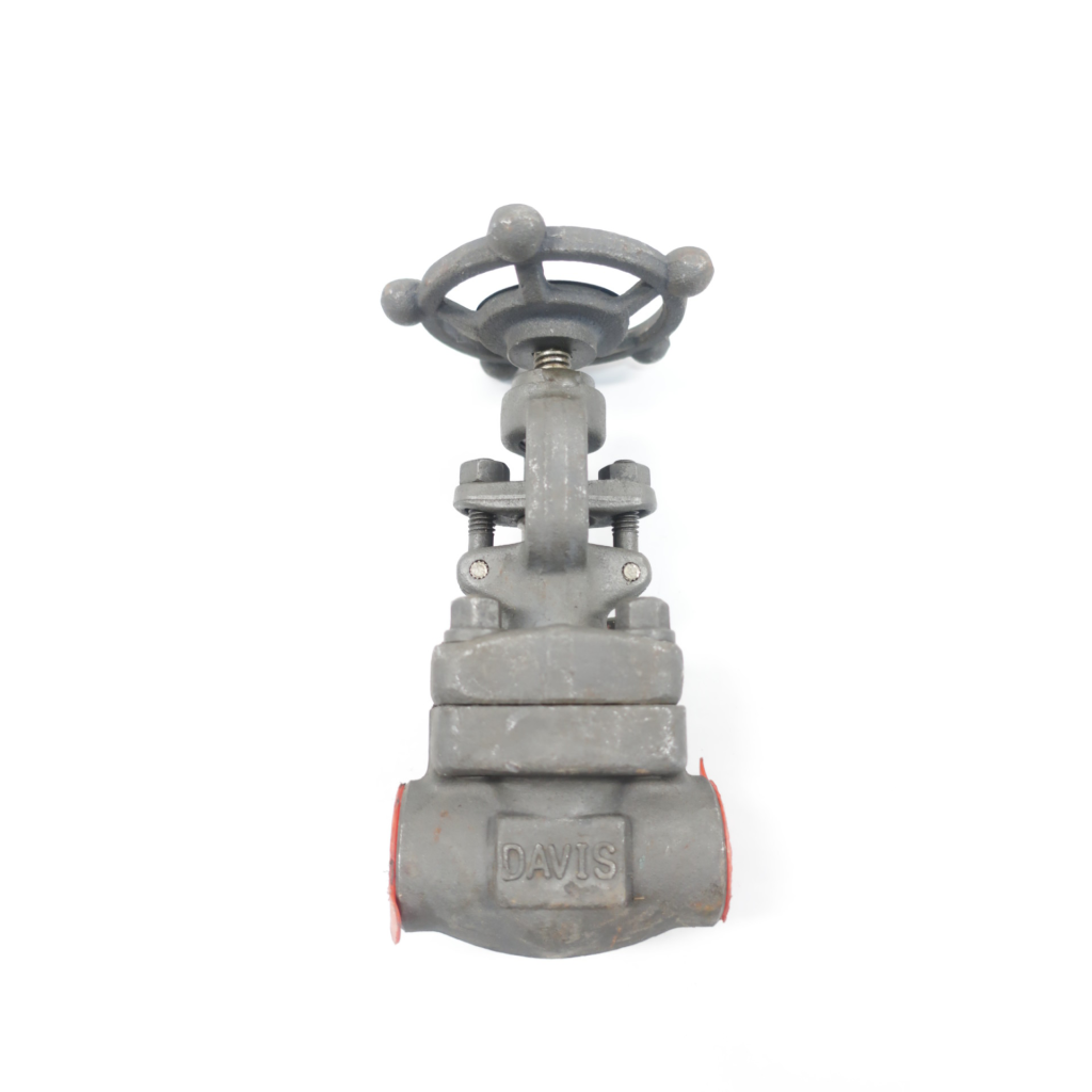 Davis 8GLWPS1 Manual Steel Socket Weld Globe Valve 1/2in 800