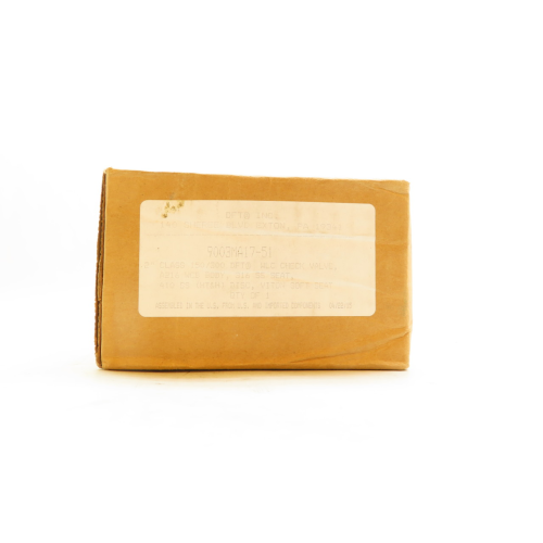 Dft Valves 9003MA17-51 Steel Check Valve 150 2in
