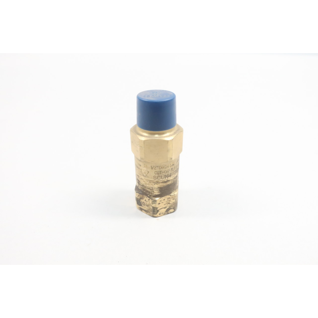 Dixon SCVM470-78SCFM Brass Check Valve 1/2in Npt