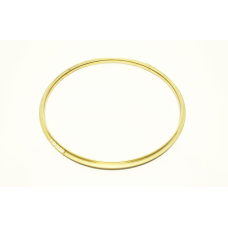 Dodge 130066 1304 T Section Oil Ring