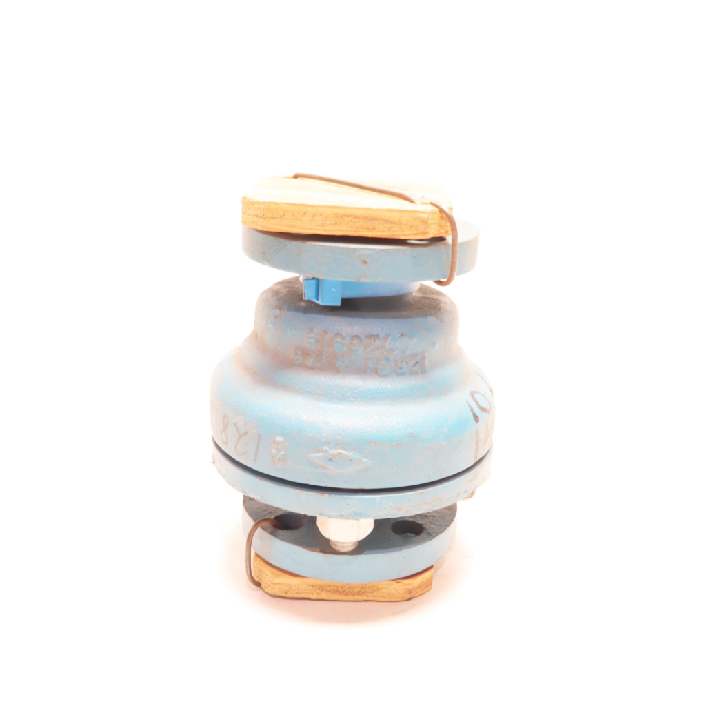 Dow Chemical 0606723 Vertical 125 Iron 1in Check Calve