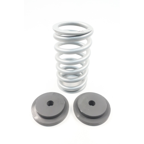 Dresser 0636CR Spring Valve Assembly