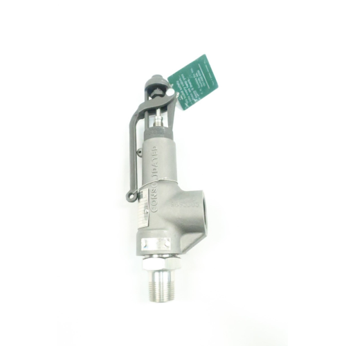 Dresser 19110L-2-CC-MS-31-MT-FT-GS Relief Valve 428lbs/hr 65psi 3/4in Npt