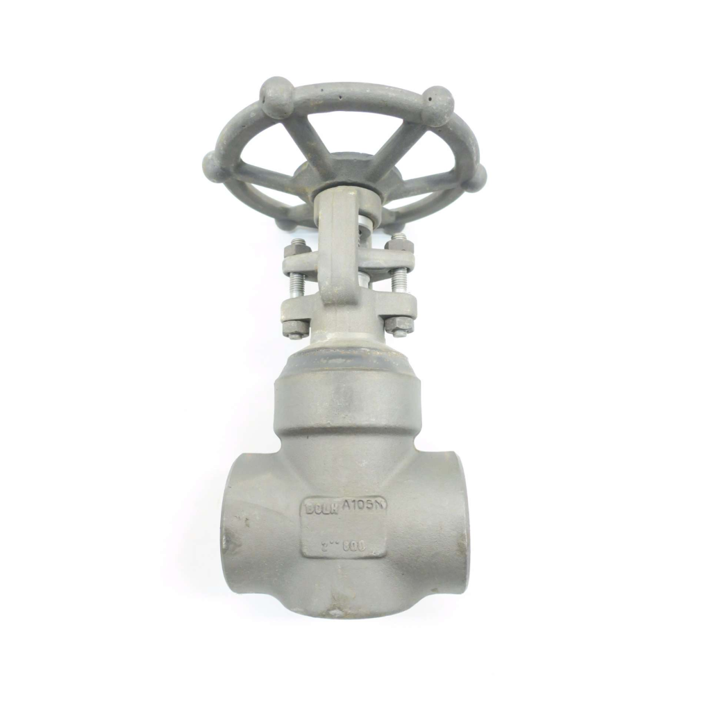 Dsi 4113A5-18 2 In 800 Steel Socket Weld Wedge Gate Valve