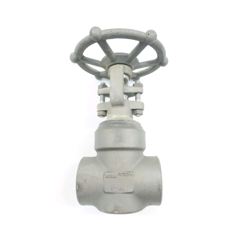 Dsi 4113A5-18 2 In 800 Steel Socket Weld Wedge Gate Valve
