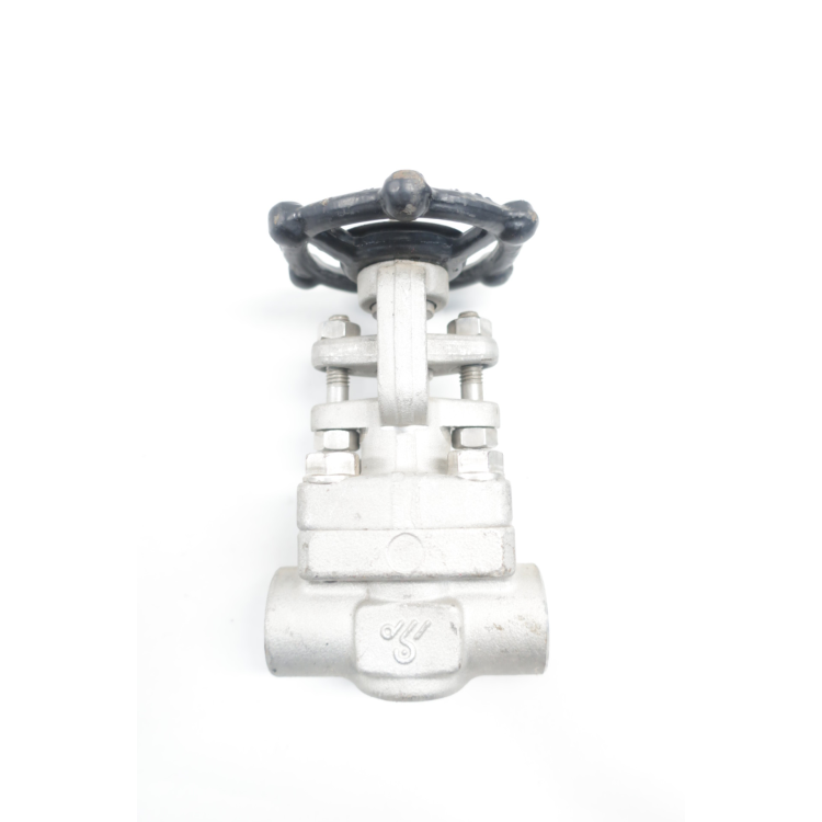Dsi 4121 E16-18 Stainless 3/8in Npt Wedge Gate Valve 800