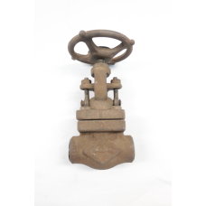 Dsi 4211 Steel Socket Weld 3/4in Globe Valve 800
