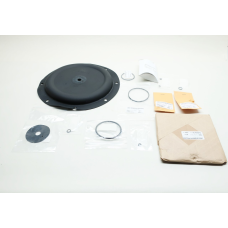 EMERSON R299X000012