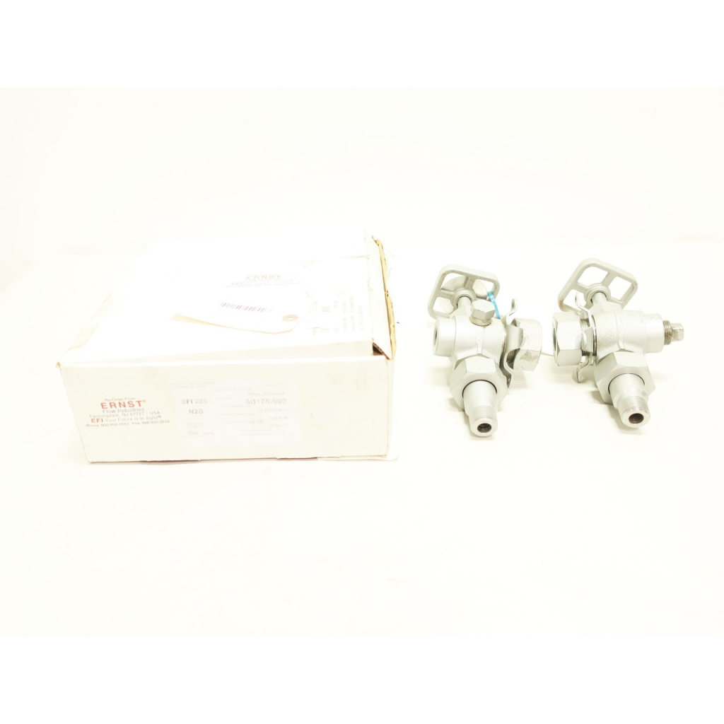 Ernst EFI-205 6B176-000 Gage Valve Set 1/2in 3/4in Npt