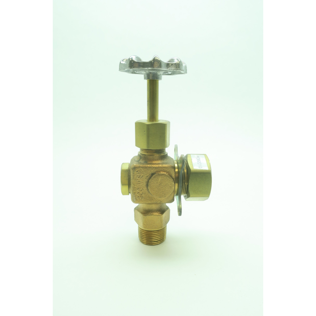 Ernst 300/500psi 3/4in Npt Water Gage Valve