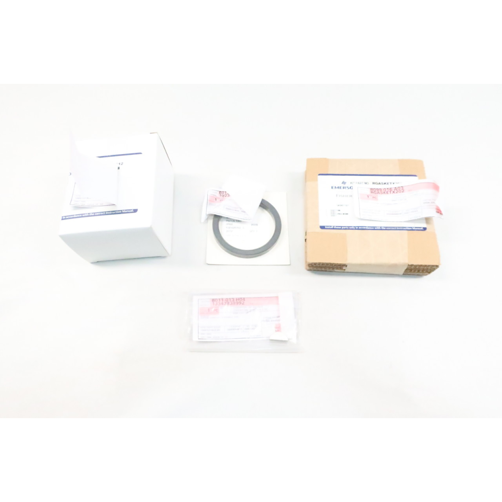 FISHER RGASKETX202 RPACKX00112