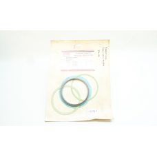 Fisher RGASKETX042 Valve Design E Gasket Kit Type E Er Ea 2-1/2in 3in
