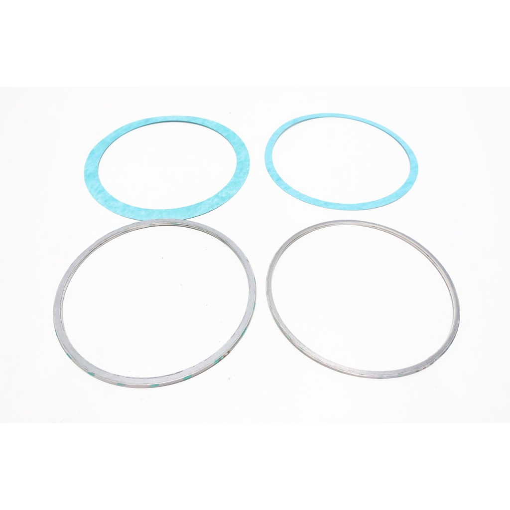 Fisher RGASKETX302 Valve Gasket Set 8in X 6in Type E