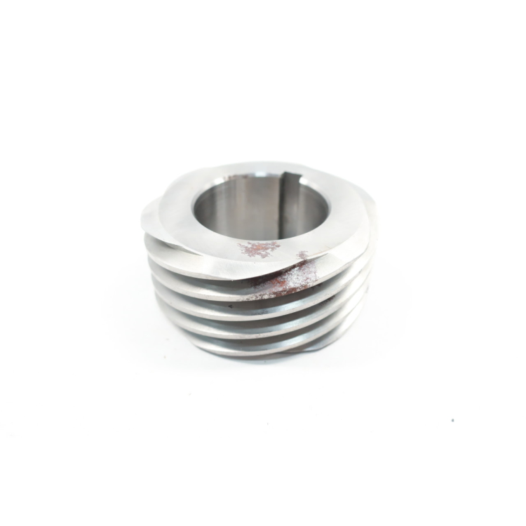 Flowserve B01638-06-01 Worm Gear