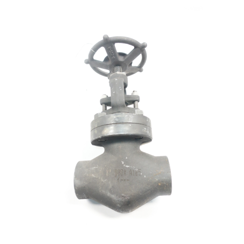 Flowserve SW13141 Manual Steel Socket Weld 1in Globe Valve