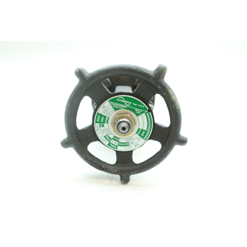 Flowserve SW12111 Vogt Manual Steel Socket Weld Wedge Gate Valve 1/2in 800