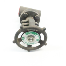 Flowserve TSW12111 Steel Threaded Wedge Gate Valve 800 1in Npt X Socket Weld