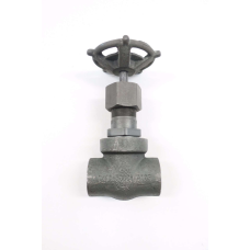 Flowserve 9871 Vogt 5000 1/4 In Npt Steel Threaded Globe Valve