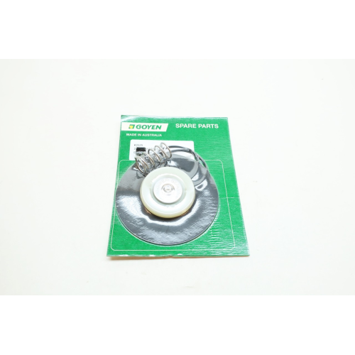 Goyen K2529 25 Millennium Buna Diaphragm Kit
