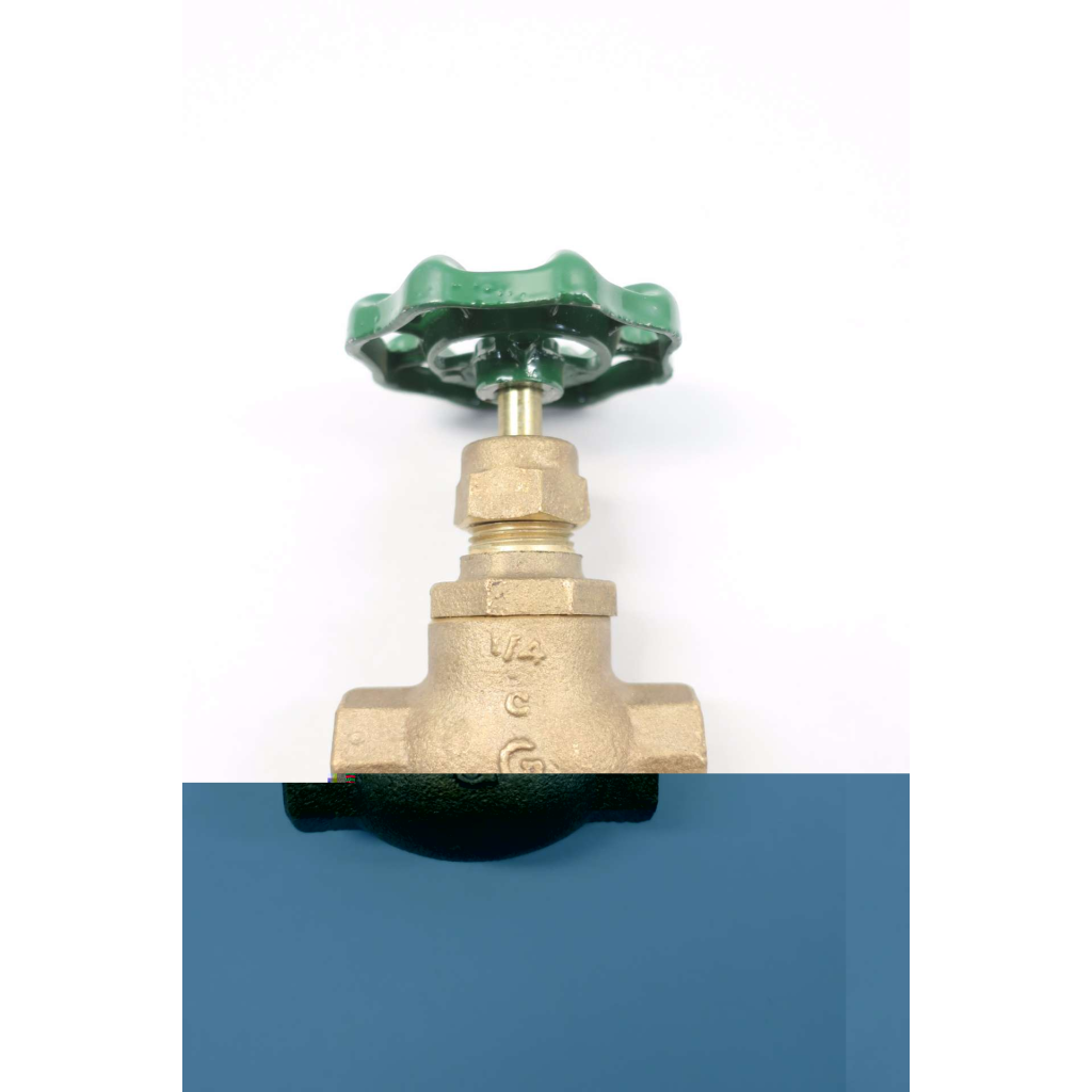Grinnell 3200 1/4 In Npt Bronze Threaded Globe Valve